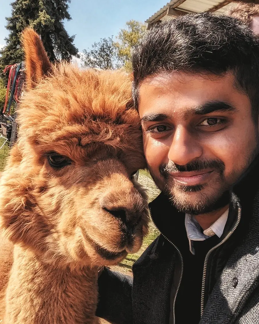 Pranay Modukuru cheek to cheek with a caramel-coloured alpaca